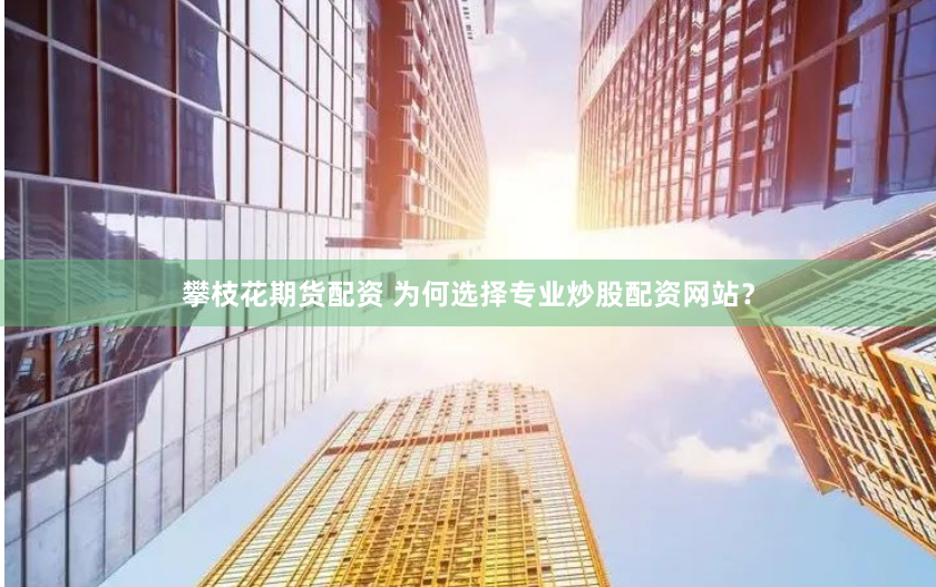 攀枝花期货配资 为何选择专业炒股配资网站？