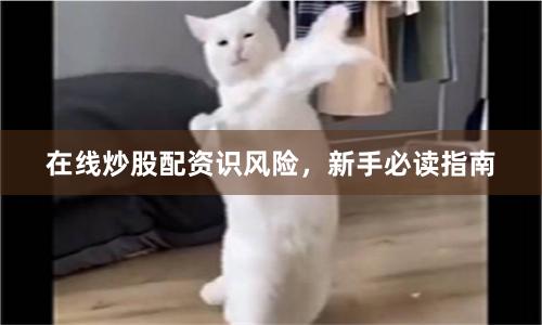 在线炒股配资识风险，新手必读指南