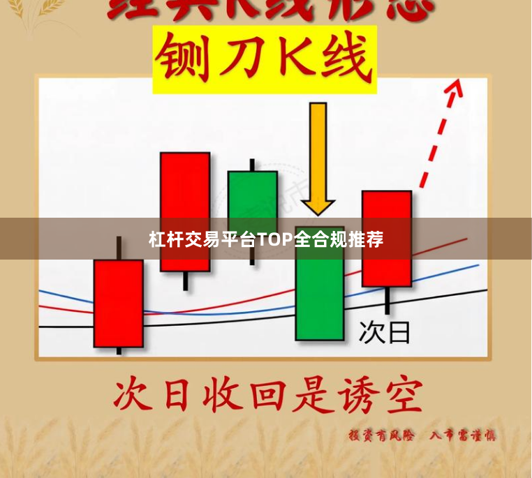 杠杆交易平台TOP全合规推荐